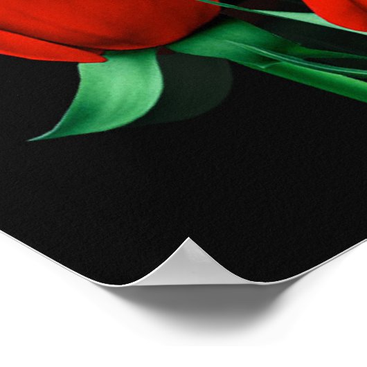 Love Red Rose Black ポスター (角)