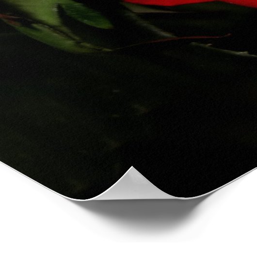 LOVE Rose ポスター (角)