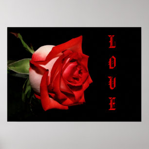 LOVE Rose ポスター