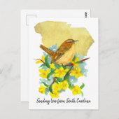 Love South Carolina Wren Jessamineの送信 ポストカード (正面/裏面)