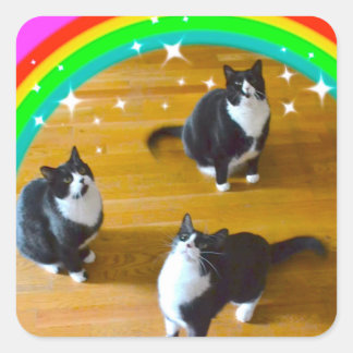 Love Wins TuxedoTrioスタンプ スクエアシール