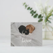 Love with Cat Heart Postcard シーズンポストカード (スタンド正面)