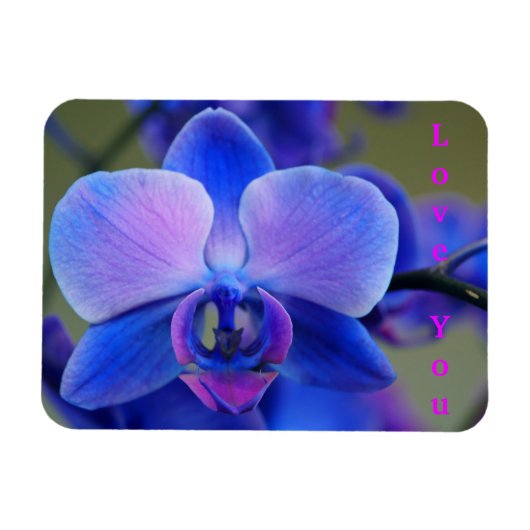 Love You Blue and Soft Pink Orchid Magnet マグネット (横)