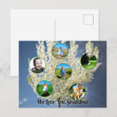Love You Grandma White Blossoming Tree Six Photos  ポストカード (正面/裏面)