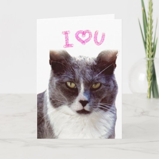 Love You Valentine from Your Cat Greeting Card シーズンカード (正面)