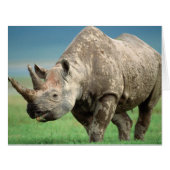 Love Your Armor (正面横)