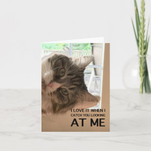 Love Your Cattitude Note Card カード