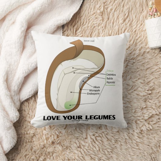 Love Your Legumes Bean Dicotyledon クッション (ブランケット)