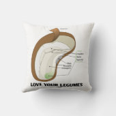 Love Your Legumes Bean Dicotyledon クッション (裏面)
