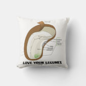 Love Your Legumes Bean Dicotyledon クッション (正面)