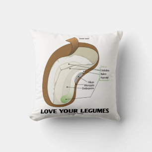 Love Your Legumes Bean Dicotyledon クッション