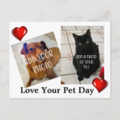 Love Your Pet Day ポストカード (正面)
