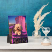 Loveable Fluffy Shih Tzu Toy Puppy, Happy Dog Sits フォトプラーク (側面)