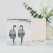 Lovebird白鳥のペアは結婚式を見てRSVP 出欠カード (スタンド正面)