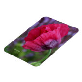  lovelyなピンクとパープルのポピー花 マグネット (左側)