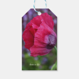  lovelyピンクとパープルのポピー花 ギフトタグ