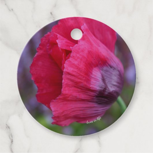 lovelyピンクとパープルのポピー花 フェイバータグ (正面)