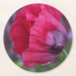  lovelyピンクとパープルのポピー花 ラウンドペーパーコースター