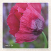  lovely ピンク & パープル ポピー フラワー ガラスコースター (正面)