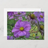 Lovely Cosmos Flowers Thank You Postcard ポストカード (正面/裏面)