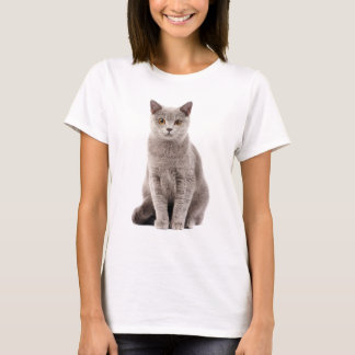 Lovely Gray Cat with Golden Eyes Tシャツ
