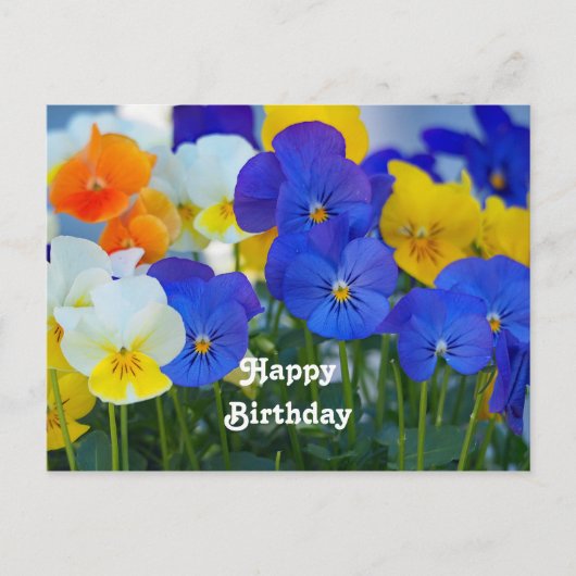Lovely Lavender Pansies Floral Photo Birthday ポストカード (正面)