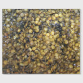 Lovely Lentils!  Wrapping Paper! ラッピングペーパー (フラット)