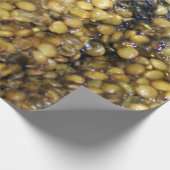 Lovely Lentils!  Wrapping Paper! ラッピングペーパー (角)