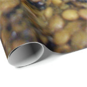 Lovely Lentils!  Wrapping Paper! ラッピングペーパー (ロールコーナー)