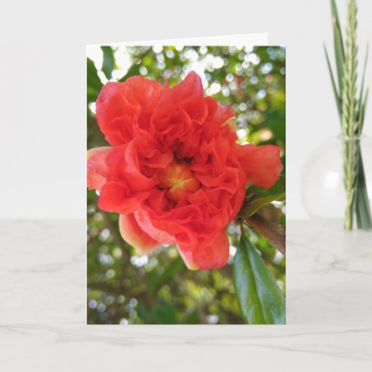 LOVEly MOM Mothers Day Gift カード (正面)