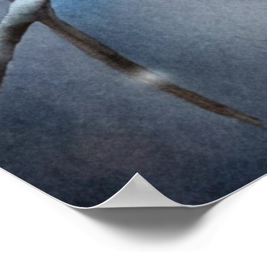 Lovely Owl ポスター (角)