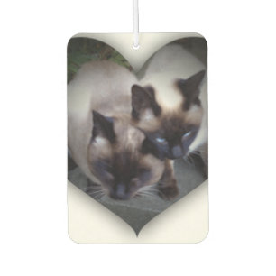 Lovely siamese エアーフレッシュナー