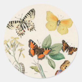 Lovely vintage illustration of butterflies ラウンドシール