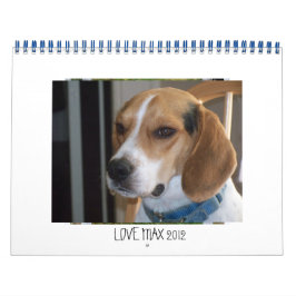 LOVEMAX 2012カレンダー カレンダー