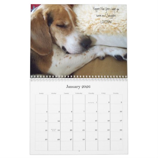 LOVEMAX 2013年 カレンダー (1月 2026)