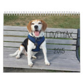 LOVEMAX 2015のカレンダー カレンダー (カバー)