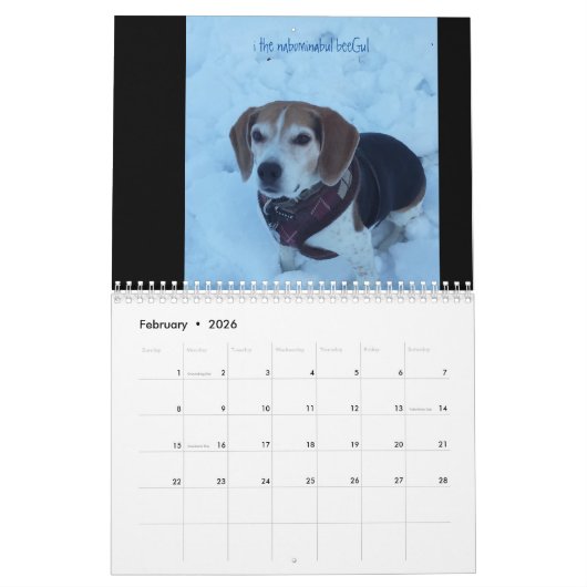 LOVEMAX 2016年 カレンダー (2月 2026)