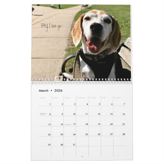 LOVEMAX 2018年 カレンダー (3月 2026)