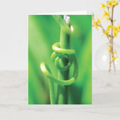 Lover's Embrace, Twisted Tendril Vine, I Miss You カード (黄色い花)