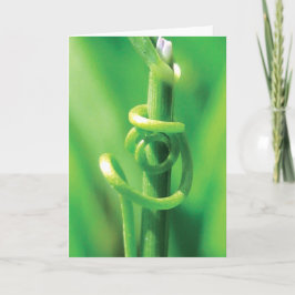 Lover's Embrace, Twisted Tendril Vine, I Miss You カード