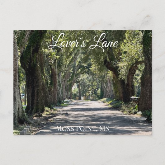 Lover's Lane, Moss Point, MSポストカード シーズンポストカード (正面)