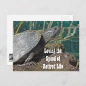 Loving 退職した Lifeユーモアのある Turtle写真おもしろい ポストカード (正面/裏面)