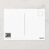 Loving 退職した Lifeユーモアのある Turtle写真おもしろい ポストカード (裏面)