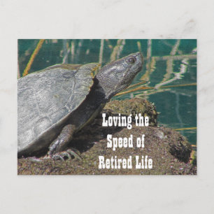 Loving 退職した Lifeユーモアのある Turtle写真おもしろい ポストカード