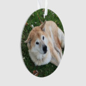 Loving MemoryでPetフォトオーナメント オーナメント (正面)