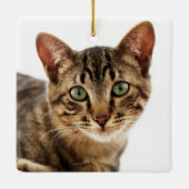 Loving Memory Cat写真金ゴールドKeepsake セラミックオーナメント (裏面)