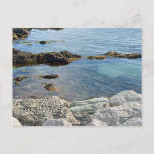 Low Tide Translucent Atlantic Waterの写真 ポストカード