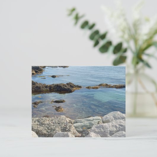 Low Tide Translucent Atlantic Waterの写真 ポストカード (スタンド正面)