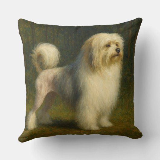 Lowchen クッション (裏面)