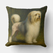 Lowchen クッション (正面)